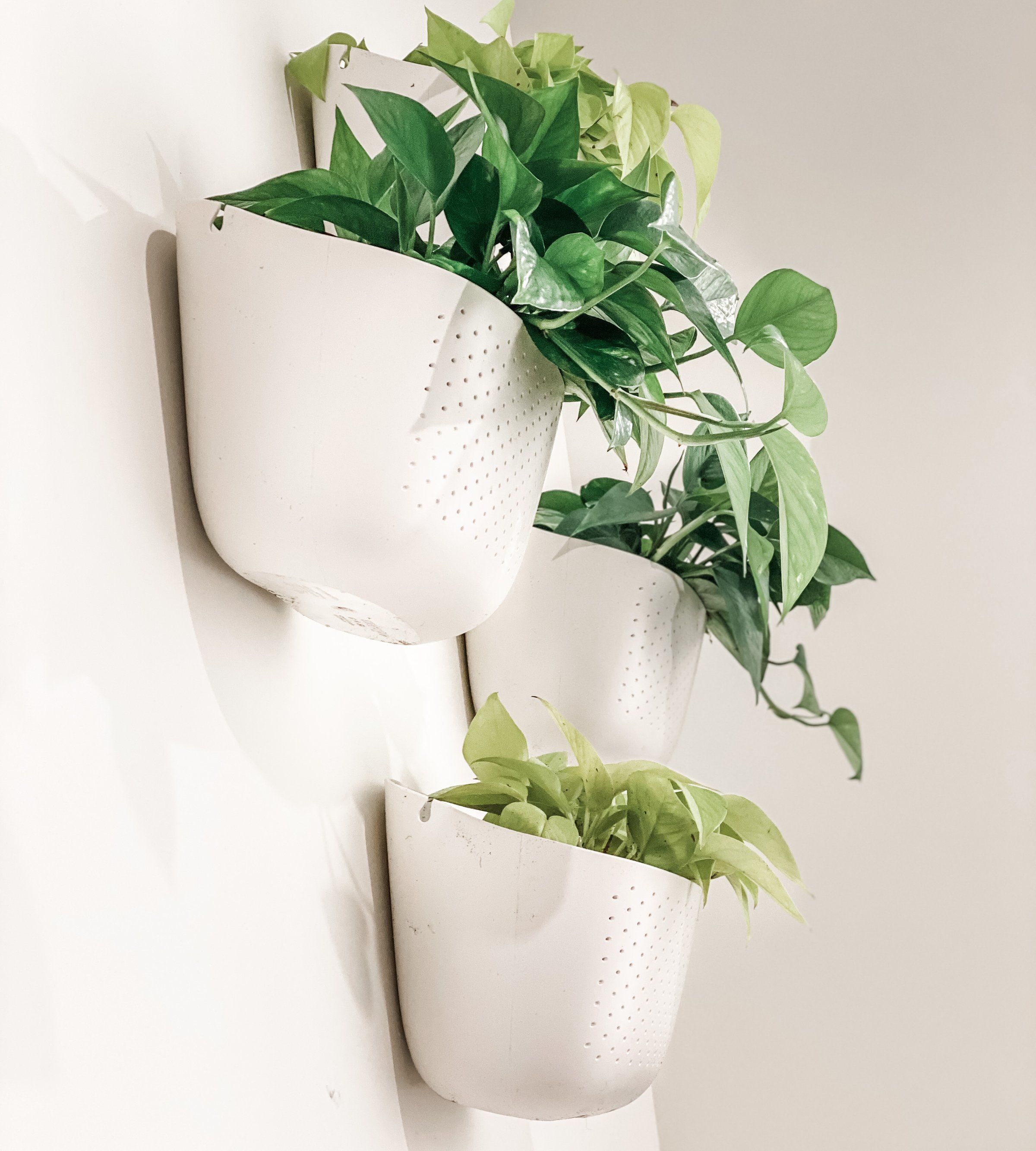 Decor 9